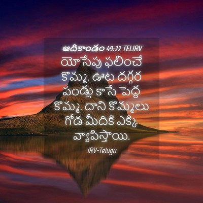 Picture 04 - ఆదికాండం 49:22 TELIRV - యోసేపు ఫలించే - Bible Verse Picture