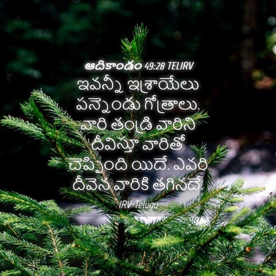 Picture 04 - ఆదికాండం 49:28 TELIRV - ఇవన్నీ ఇశ్రాయేలు - Bible Verse Picture