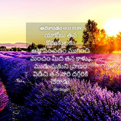 Picture 04 - ఆదికాండం 49:33 TELIRV - యాకోబు తన - Bible Verse Picture