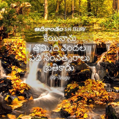 Picture 04 - ఆదికాండం 5:14 TELIRV - కేయినాను తొమ్మిది - Bible Verse Picture