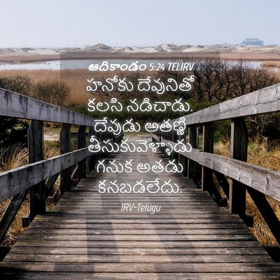 Picture 04 - ఆదికాండం 5:24 TELIRV - హనోకు దేవునితో - Bible Verse Picture