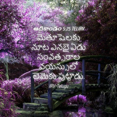 Picture 04 - ఆదికాండం 5:25 TELIRV - మెతూషెలకు నూట - Bible Verse Picture