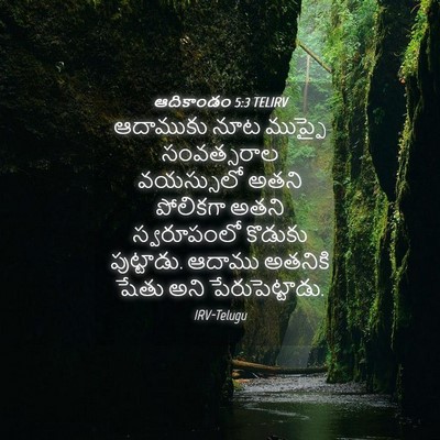 Picture 04 - ఆదికాండం 5:3 TELIRV - ఆదాముకు నూట - Bible Verse Picture
