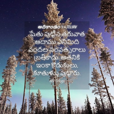 Picture 04 - ఆదికాండం 5:4 TELIRV - షేతు పుట్టిన - Bible Verse Picture