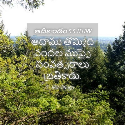 Picture 04 - ఆదికాండం 5:5 TELIRV - ఆదాము తొమ్మిది - Bible Verse Picture