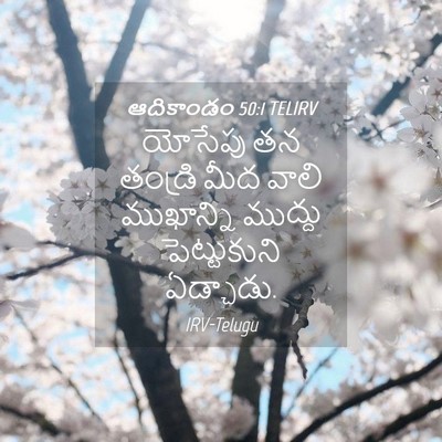 Picture 04 - ఆదికాండం 50:1 TELIRV - యోసేపు తన తండ్రి - Bible Verse Picture