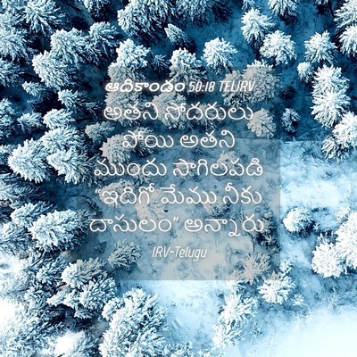 Picture 04 - ఆదికాండం 50:18 TELIRV - అతని సోదరులు పోయి - Bible Verse Picture