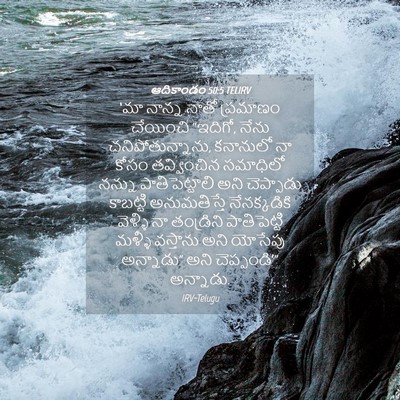 Picture 04 - ఆదికాండం 50:5 TELIRV - ‘మా నాన్న నాతో - Bible Verse Picture