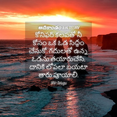 Picture 04 - ఆదికాండం 6:14 TELIRV - కోనిఫర్ కలపతో నీ - Bible Verse Picture