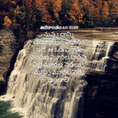 Picture 04 - ఆదికాండం 6:15 TELIRV - నువ్వు దాన్ని - Bible Verse Picture