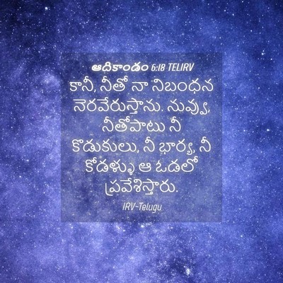 Picture 04 - ఆదికాండం 6:18 TELIRV - కానీ, నీతో నా - Bible Verse Picture