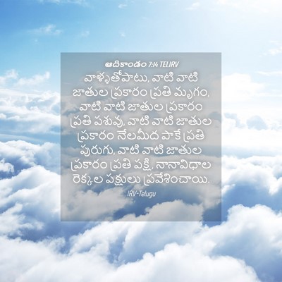 Picture 04 - ఆదికాండం 7:14 TELIRV - వాళ్ళతోపాటు, వాటి - Bible Verse Picture