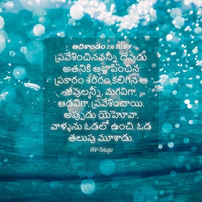 Picture 04 - ఆదికాండం 7:16 TELIRV - ప్రవేశించినవన్నీ - Bible Verse Picture