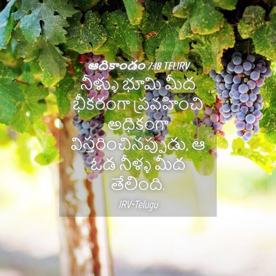 Picture 04 - ఆదికాండం 7:18 TELIRV - నీళ్ళు భూమి మీద - Bible Verse Picture