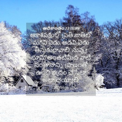 Picture 04 - ఆదికాండం 7:3 TELIRV - ఆకాశపక్షుల్లో - Bible Verse Picture