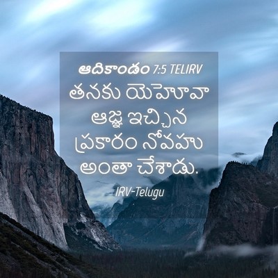 Picture 04 - ఆదికాండం 7:5 TELIRV - తనకు యెహోవా ఆజ్ఞ - Bible Verse Picture