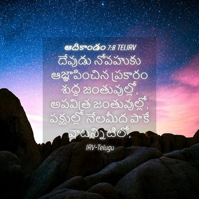 Picture 04 - ఆదికాండం 7:8 TELIRV - దేవుడు నోవహుకు - Bible Verse Picture
