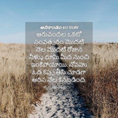 Picture 04 - ఆదికాండం 8:13 TELIRV - ఆరువందల ఒకటో - Bible Verse Picture