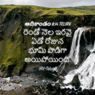 Picture 04 - ఆదికాండం 8:14 TELIRV - రెండో నెల ఇరవై ఏడో - Bible Verse Picture