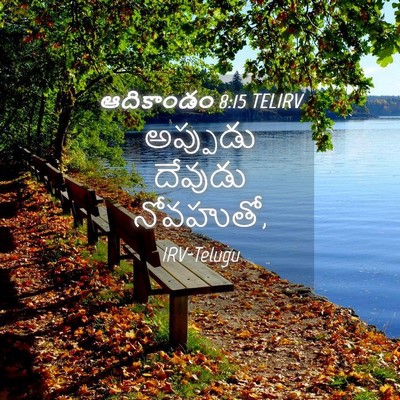 Picture 04 - ఆదికాండం 8:15 TELIRV - అప్పుడు దేవుడు - Bible Verse Picture
