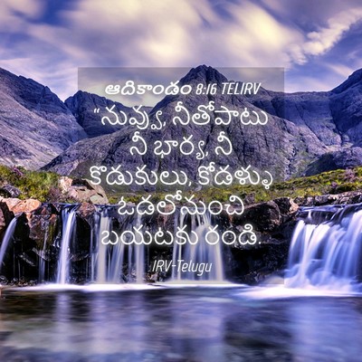 Picture 04 - ఆదికాండం 8:16 TELIRV - “నువ్వు, నీతోపాటు - Bible Verse Picture