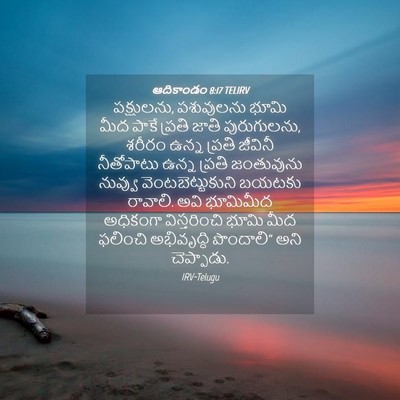 Picture 04 - ఆదికాండం 8:17 TELIRV - పక్షులను, - Bible Verse Picture