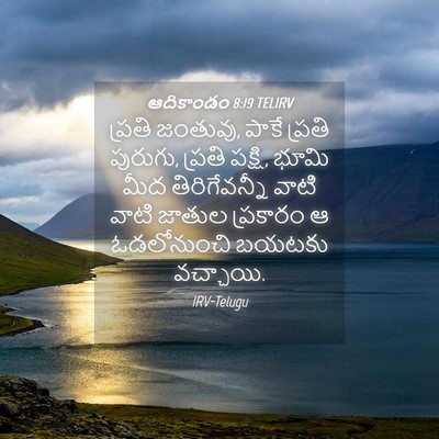 Picture 04 - ఆదికాండం 8:19 TELIRV - ప్రతి జంతువు, పాకే - Bible Verse Picture
