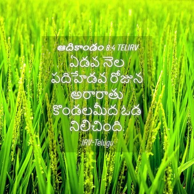 Picture 04 - ఆదికాండం 8:4 TELIRV - ఏడవ నెల పదిహేడవ - Bible Verse Picture
