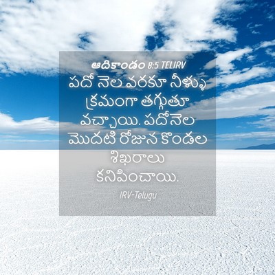 Picture 04 - ఆదికాండం 8:5 TELIRV - పదో నెల వరకూ - Bible Verse Picture