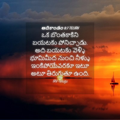 Picture 04 - ఆదికాండం 8:7 TELIRV - ఒక బొంతకాకిని - Bible Verse Picture