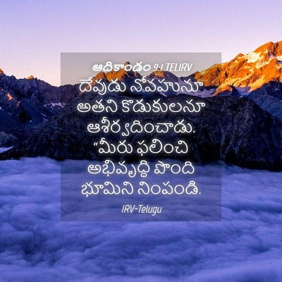 Picture 04 - ఆదికాండం 9:1 TELIRV - దేవుడు నోవహునూ - Bible Verse Picture