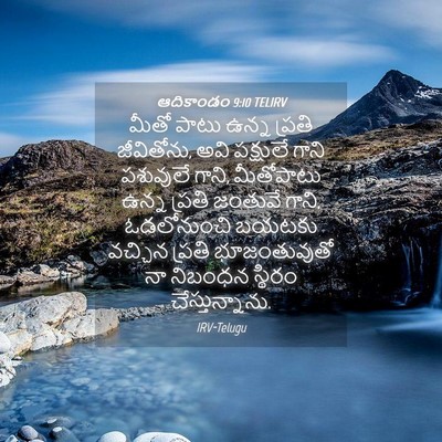 Picture 04 - ఆదికాండం 9:10 TELIRV - మీతో పాటు ఉన్న - Bible Verse Picture