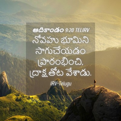 Picture 04 - ఆదికాండం 9:20 TELIRV - నోవహు భూమిని - Bible Verse Picture