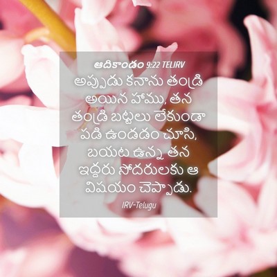 Picture 04 - ఆదికాండం 9:22 TELIRV - అప్పుడు కనాను - Bible Verse Picture