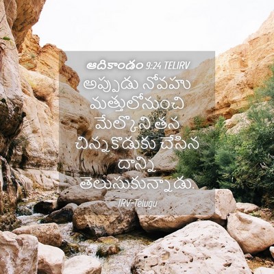 Picture 04 - ఆదికాండం 9:24 TELIRV - అప్పుడు నోవహు - Bible Verse Picture
