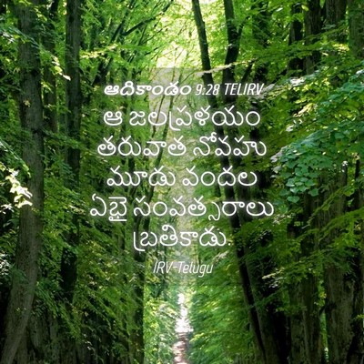 Picture 04 - ఆదికాండం 9:28 TELIRV - ఆ జలప్రళయం తరువాత - Bible Verse Picture