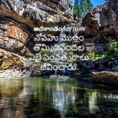 Picture 04 - ఆదికాండం 9:29 TELIRV - నోవహు మొత్తం - Bible Verse Picture