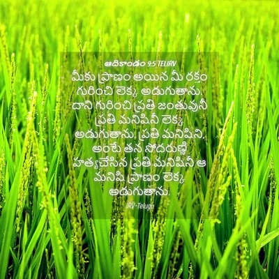 Picture 04 - ఆదికాండం 9:5 TELIRV - మీకు ప్రాణం అయిన - Bible Verse Picture
