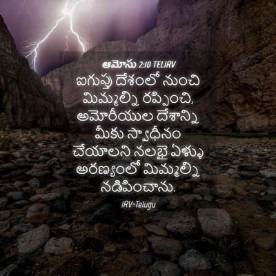 Picture 04 - ఆమోసు 2:10 TELIRV - ఐగుప్తు దేశంలో - Bible Verse Picture