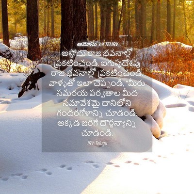 Picture 04 - ఆమోసు 3:9 TELIRV - అష్డోదు రాజ - Bible Verse Picture