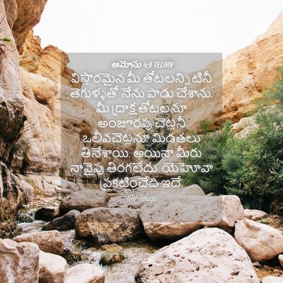 Picture 04 - ఆమోసు 4:9 TELIRV - విస్తారమైన మీ - Bible Verse Picture