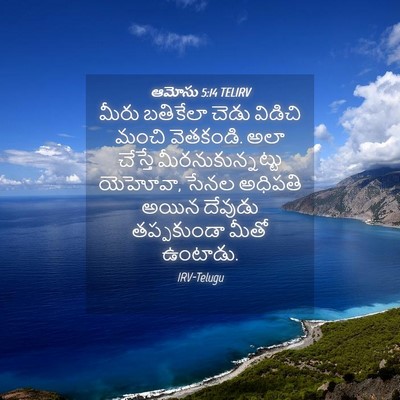 Picture 04 - ఆమోసు 5:14 TELIRV - మీరు బతికేలా చెడు - Bible Verse Picture