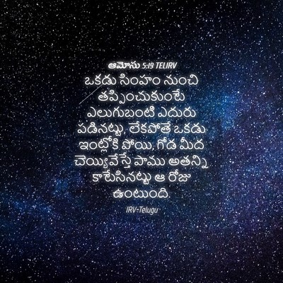 Picture 04 - ఆమోసు 5:19 TELIRV - ఒకడు సింహం నుంచి - Bible Verse Picture