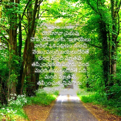 Picture 04 - ఆమోసు 5:3 TELIRV - యెహోవా ప్రభువు - Bible Verse Picture