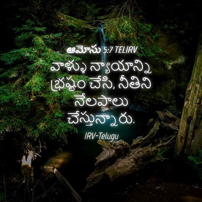 Picture 04 - ఆమోసు 5:7 TELIRV - వాళ్ళు న్యాయాన్ని - Bible Verse Picture