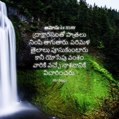 Picture 04 - ఆమోసు 6:6 TELIRV - ద్రాక్షారసంతో - Bible Verse Picture