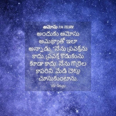 Picture 04 - ఆమోసు 7:14 TELIRV - అందుకు ఆమోసు - Bible Verse Picture
