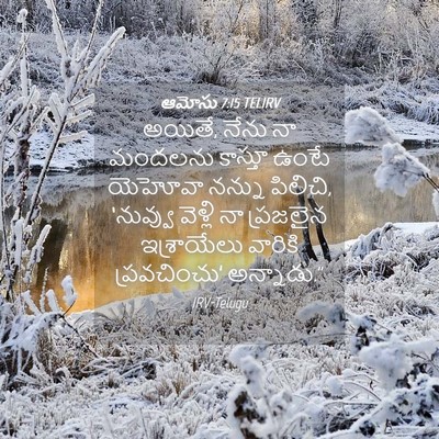 Picture 04 - ఆమోసు 7:15 TELIRV - అయితే, నేను నా - Bible Verse Picture