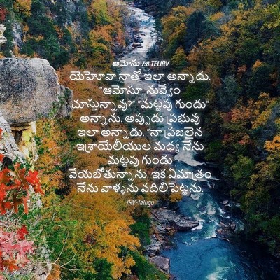 Picture 04 - ఆమోసు 7:8 TELIRV - యెహోవా నాతో ఇలా - Bible Verse Picture