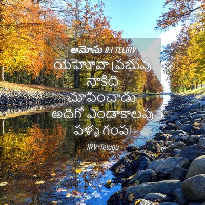 Picture 04 - ఆమోసు 8:1 TELIRV - యెహోవా ప్రభువు - Bible Verse Picture